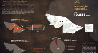 Sistema de Monitoramento da Exploração Madeireira (Simex): Mapeamento da exploração madeireira no Acre – Agosto 2020 a Julho 2021