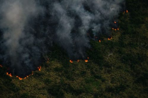 Desmatamento Na Amazônia Chega A Quase 8 Mil Km² Em 2022, Pior ...