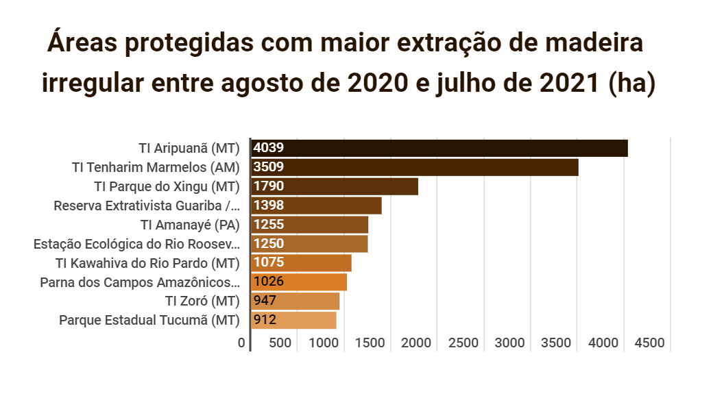 Simex AM APs - Quase 40% da extração de madeira na Amazônia não é autorizada, mostra pesquisa inédita