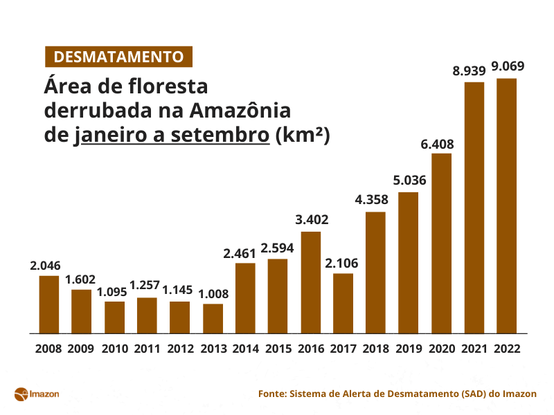 2 - Desmatamento acumulado até setembro passa dos 9 mil km² em 2022, pior marca em 15 anos