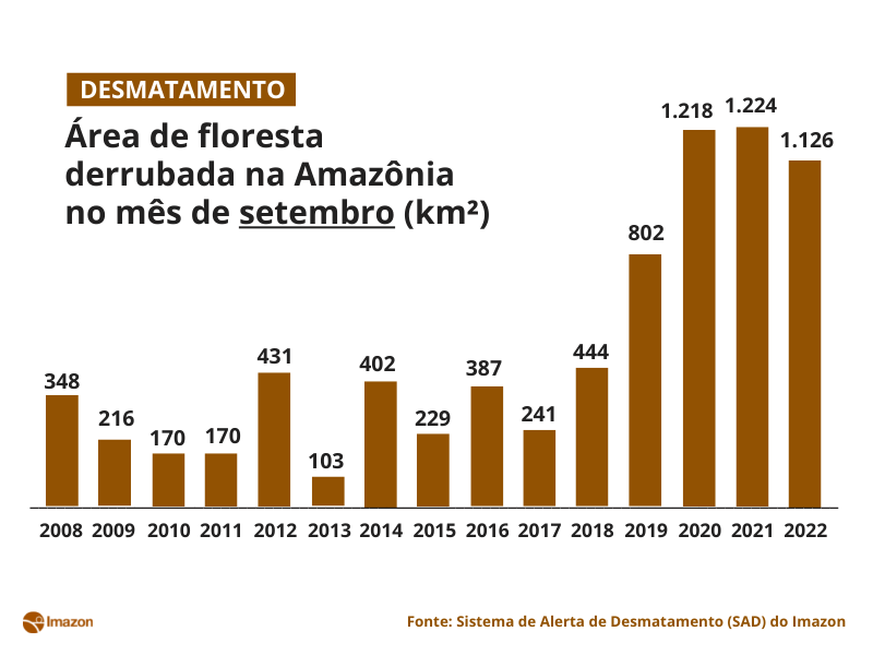 4 - Desmatamento acumulado até setembro passa dos 9 mil km² em 2022, pior marca em 15 anos