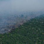 Foto Christian Braga Greenpeace 150x150 - Desmatamento acumulado até setembro passa dos 9 mil km² em 2022, pior marca em 15 anos