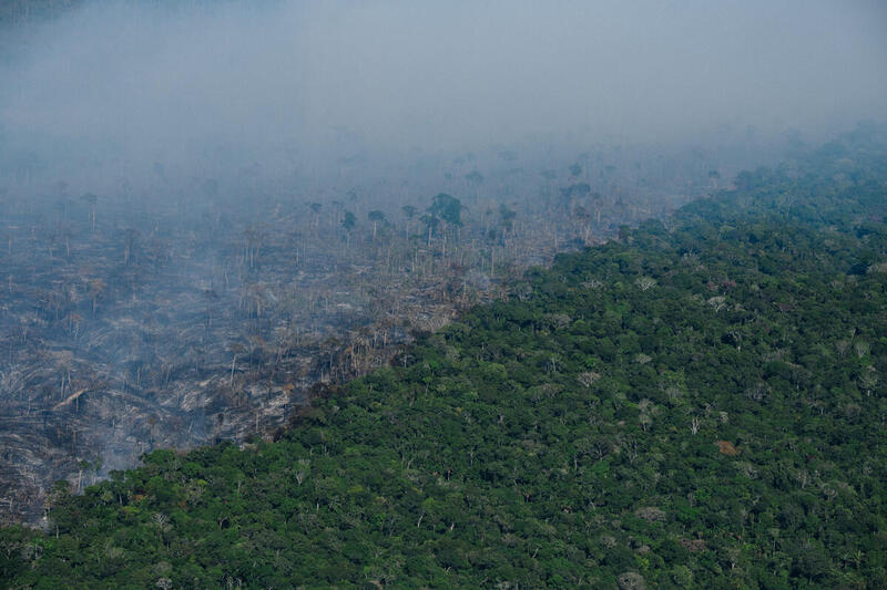 Foto Christian Braga Greenpeace - Desmatamento acumulado até setembro passa dos 9 mil km² em 2022, pior marca em 15 anos