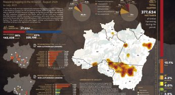 System for Monitoring Timber Harvesting (Simex): Mapping logging in the Amazon – August 2020 to July 2021