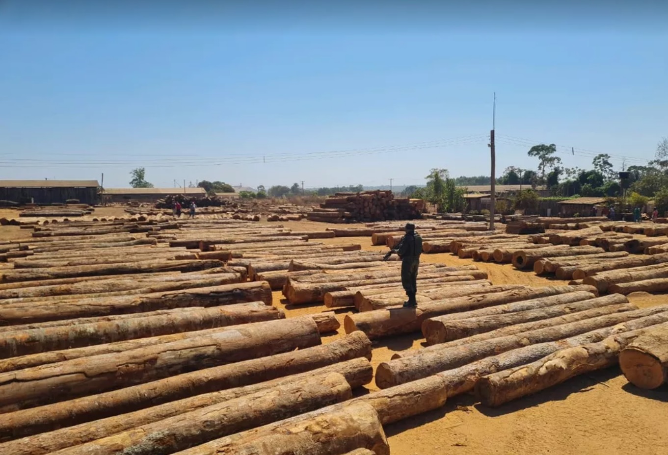 Madeira apreendida em MT em 2021 PMMT - Mato Grosso concentra 70% da exploração ilegal de madeira na Amazônia