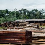 Patio de madeireira Marcelo Camargo Agencia Brasil 150x150 - Áreas protegidas concentram quase um terço da exploração ilegal de madeira em MT