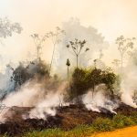 Foto Ramon Aquim WWF Brasil 150x150 - Resex Chico Mendes é pelo sexto ano consecutivo a área  protegida mais ameaçada pelo desmatamento na Amazônia