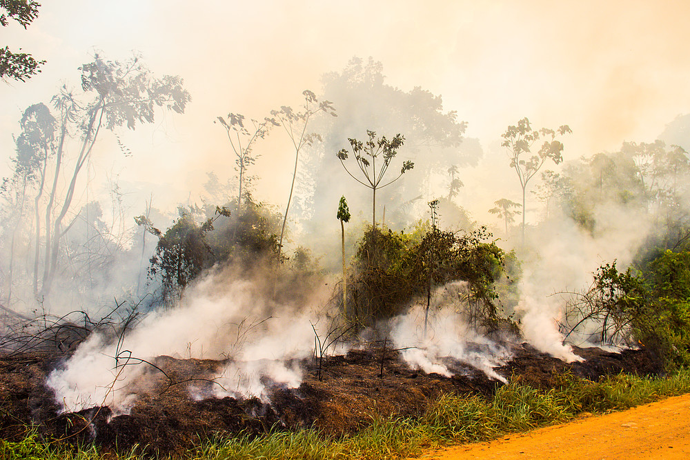Foto Ramon Aquim WWF Brasil - Símbolo da luta pela floresta, Resex Chico Mendes é a área protegida mais pressionada pelo desmatamento na Amazônia