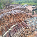 Ibama 150x150 - Exploração ilegal de madeira na Amazônia é impulsionada por 100 propriedades rurais com CAR, diz estudo