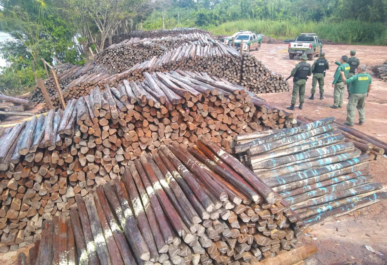 Ibama - Exploração ilegal de madeira na Amazônia é impulsionada por 100 propriedades rurais com CAR, diz estudo