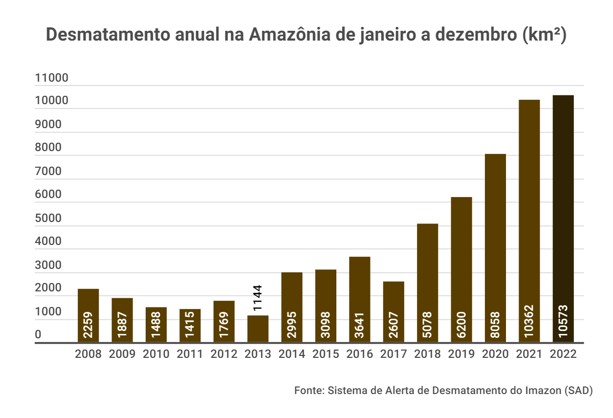 SAD Janeiro a Dezembro de 2008 2022 - Amazônia perdeu quase 3 mil campos de futebol por dia de floresta em 2022, maior desmatamento em 15 anos