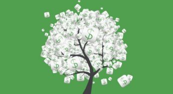 O Paradoxo Amazônico