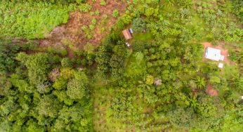 Regularização Fundiária em Áreas Federais na Amazônia Legal: Lições, Desafios e Recomendações