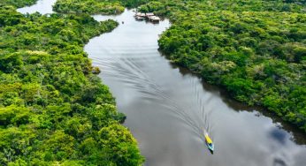 Fatos da Amazônia: Meio Ambiente e uso do solo