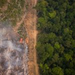 Greenpeace Daniel Beltra 150x150 - Desmatamento na Amazônia tem redução de 24% em janeiro, mas ainda é o terceiro maior em 16 anos