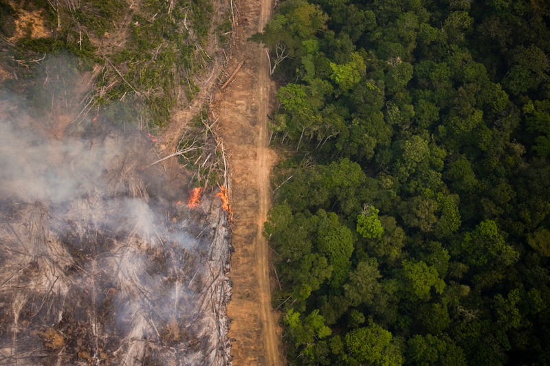 Greenpeace Daniel Beltra - Desmatamento na Amazônia tem redução de 24% em janeiro, mas ainda é o terceiro maior em 16 anos
