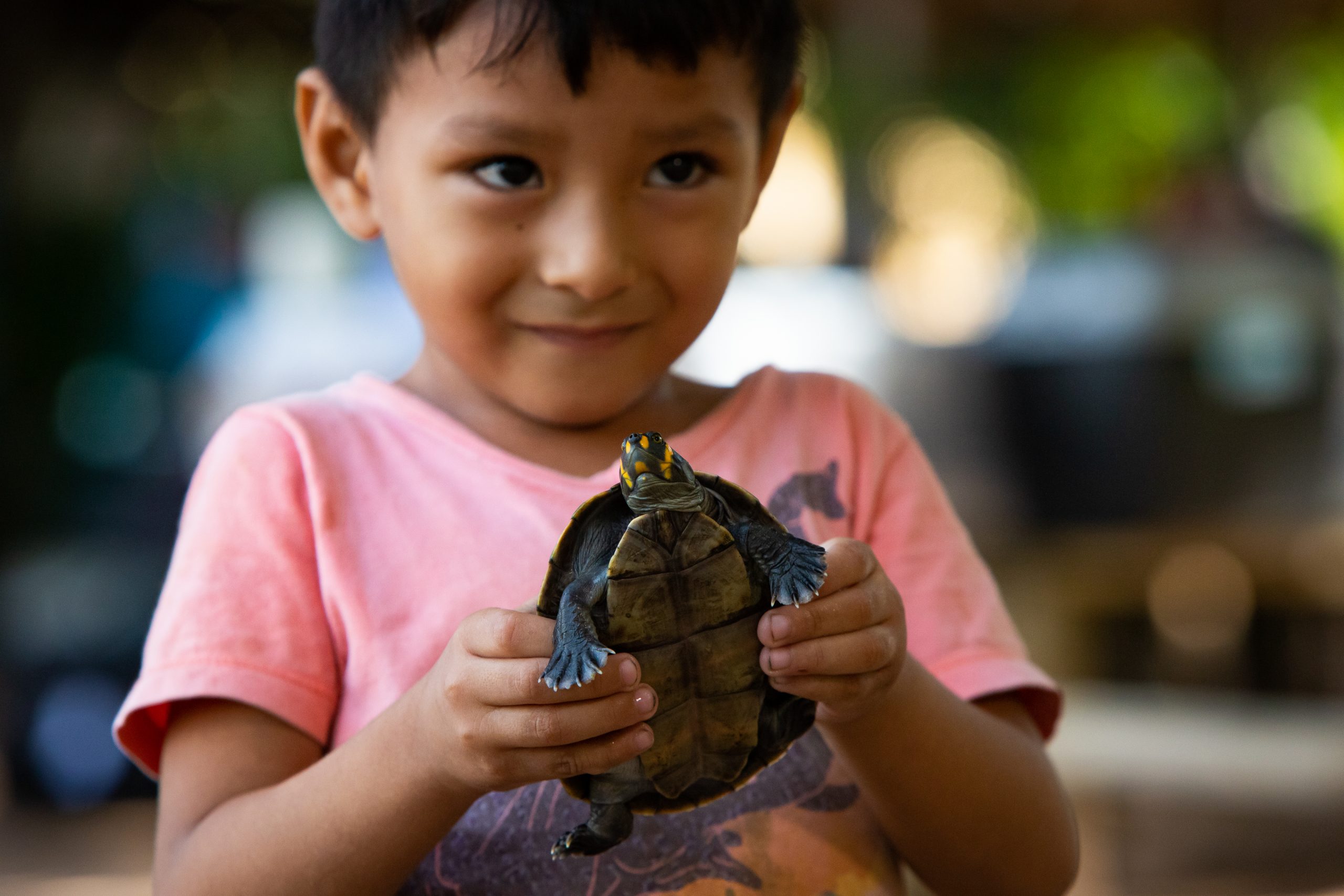 IMG 4377 scaled - Cerca de 4 mil filhotes de tartarugas amazônicas serão soltos por moradores do Pará neste sábado