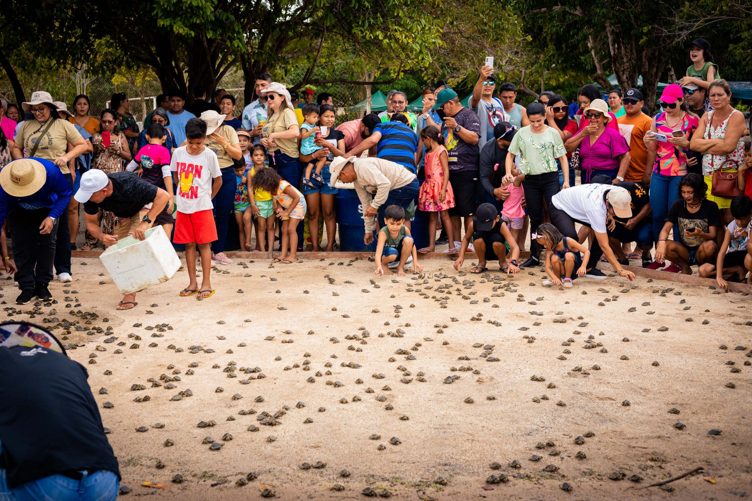 IMG 7352 scaled - Soltura de 4 mil filhotes de tartarugas amazônicas emociona paraenses