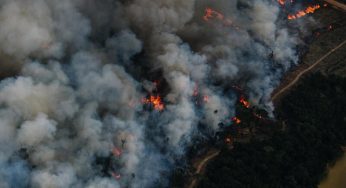 Desmatamento na Amazônia triplica em março e faz trimestre fechar como o 2º pior desde 2008