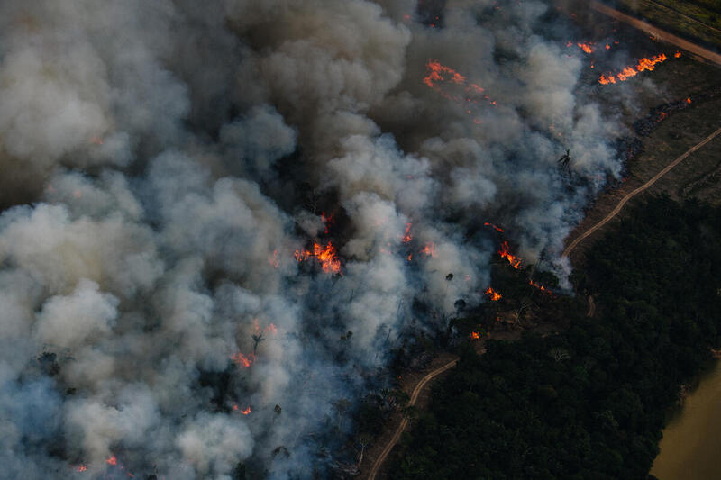 Christian Braga Greenpeace 2 - Desmatamento na Amazônia triplica em março e faz trimestre fechar como o 2º pior desde 2008