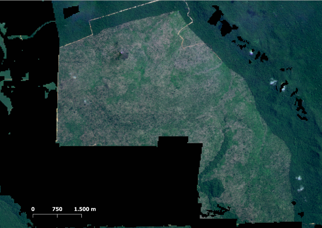desmatamento altamira - Desmatamento na Amazônia cai 36% de janeiro a abril, mas é o 3º maior desde 2008