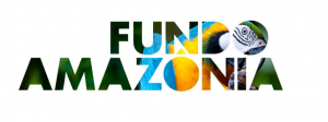 Imazon – Instituto Do Homem E Meio Ambiente Da Amazônia