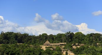 Dia do Meio Ambiente: Imazon lança programa para criar e desenvolver áreas protegidas na Amazônia