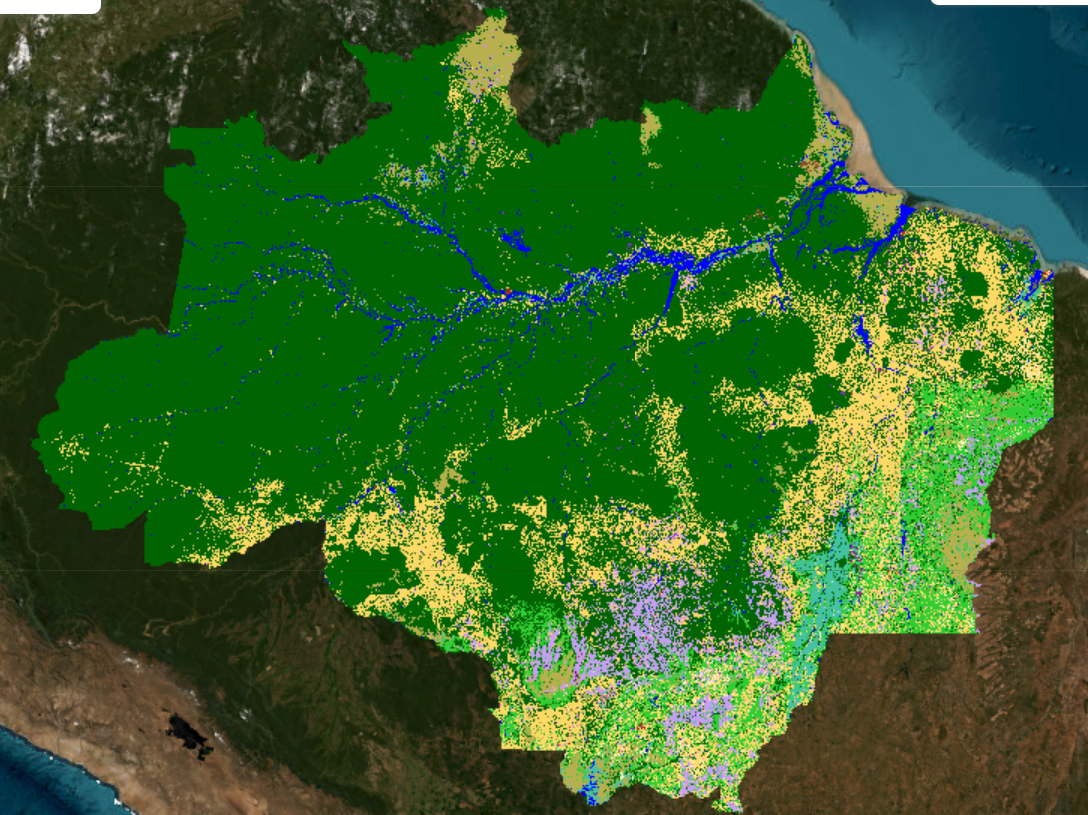 Amazonia Legal - Pecuária