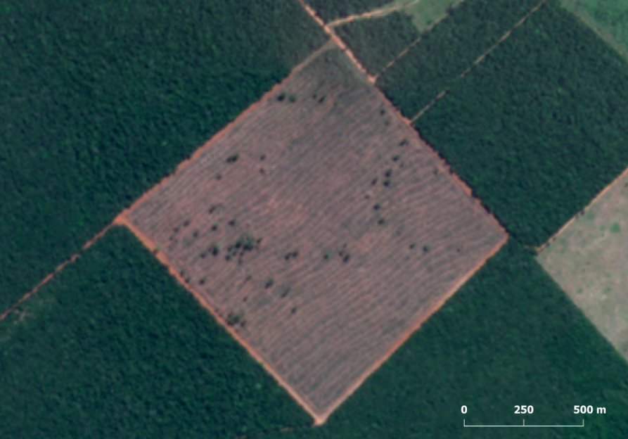 Desmatamento em maio de 2023 Brasnorte MT - Desmatamento na Amazônia cai 54% de janeiro a maio, mas é o 4º maior desde 2008