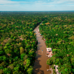 Design sem nome 2 150x150 - Imazon faz 33 anos pesquisando soluções para a Amazônia
