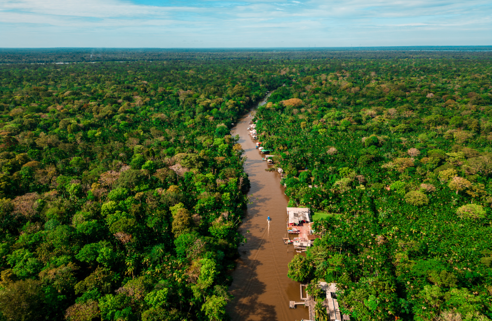 Design sem nome 2 - Imazon faz 33 anos pesquisando soluções para a Amazônia