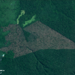 Desmatamento de 6 km² em junho de 2023 150x150 - Desmatamento da Amazônia tem queda de 60% no primeiro semestre