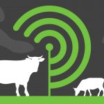 00 RV Lancamento 01 Banner 150x150 - Radar Verde: Transparência da Carne na Amazônia - Avaliação de Controle sobre a Cadeia Produtiva da Carne Bovina, Indicador 2022