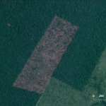 Captura de tela 2023 10 20 093040hm 150x150 - Desmatamento na Amazônia é o menor dos últimos cinco anos, mas equivale a 1.300 campos de futebol por dia