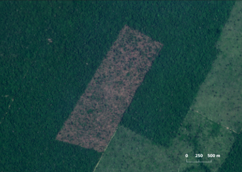 Captura de tela 2023 10 20 093040hm - Desmatamento na Amazônia é o menor dos últimos cinco anos, mas equivale a 1.300 campos de futebol por dia