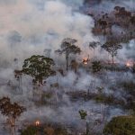 GP0STX900 Web size 3 150x150 - Em 38 anos o Brasil perdeu 15% de suas florestas naturais