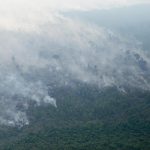 GP1SZPHF Web size 150x150 - Desmatamento na Amazônia cai 62% de janeiro a novembro e é o menor desde 2017