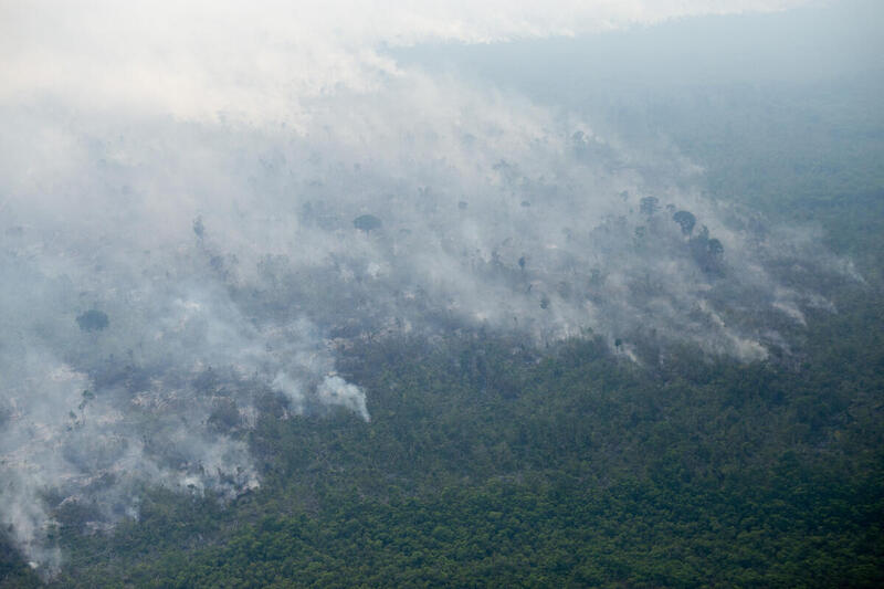 GP1SZPHF Web size - Desmatamento na Amazônia cai 62% de janeiro a novembro e é o menor desde 2017