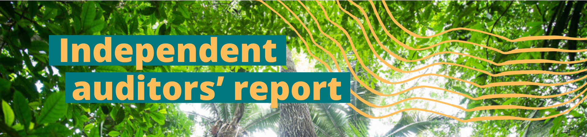 Independent auditors report - Activity Report 2021