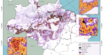 Inteligência artificial aponta 5 mil km² sob risco médio, alto ou muito alto de desmatamento na Amazônia em 2024