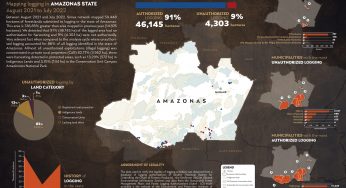 System for Monitoring Timber Harvesting (Simex): Mapping logging in Amazonas state – August 2021 to July 2022