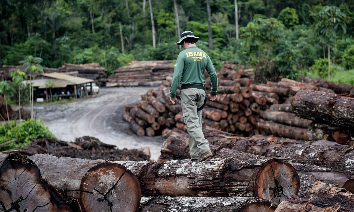 ibama amazonia 1 - COP 28: Quase 30% da exploração de madeira na Amazônia é ilegal
