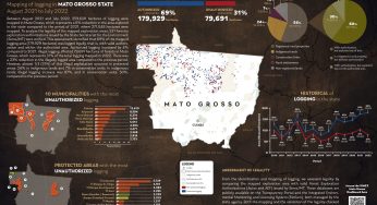 System for Monitoring Timber Harvesting (Simex): Mapping logging in Mato Grosso state – August 2021 to July 2022