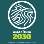 Amazonia 2030 Livro Ingles 1 150x150 - AMAZÔNIA 2030: BASES FOR SUSTAINABLE DEVELOPMENT