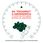 Capa Pecuaria 2030 Fev 2024 150x150 - Da “escassez” à abundância: O caso da pecuária bovina na Amazônia