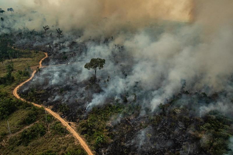 Altamira Imagem aerea de queimadas. Foto Victor Moriyama Greenpeace - Activity Report 2022