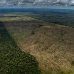 Labrea Desmatamento em Labrea AM. Foto Greenpeace 150x150 - Desmatamento nos biomas do Brasil cresceu 22,3% em 2022