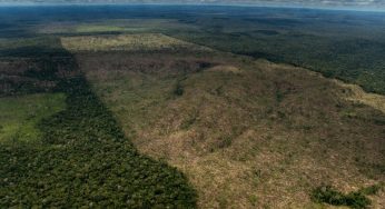 Desmatamento nos biomas do Brasil cresceu 22,3% em 2022