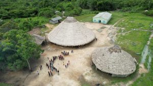 terra indigena waiwai Conselho Indigena de Roraima 300x169 - Desmatamento em Terras Indígenas da Amazônia é o menor em seis anos
