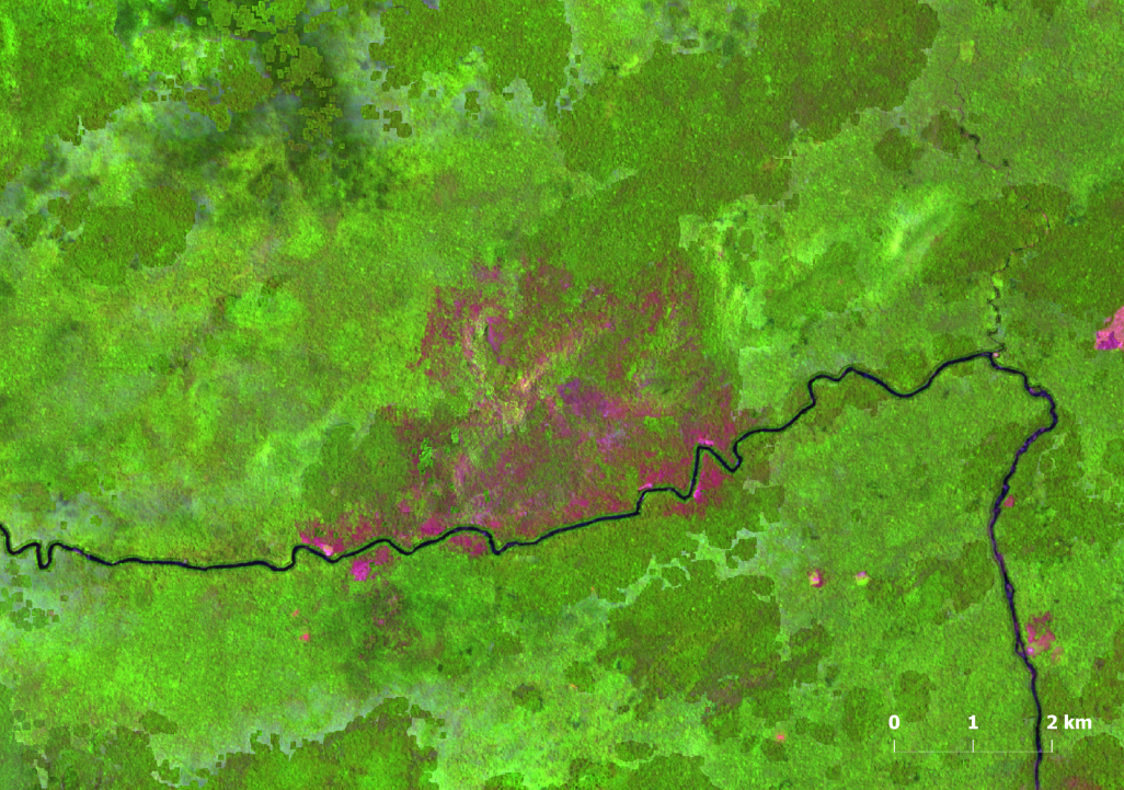 Area de floresta de 12 km² degradada em abril em Roraima Imagem SAD Imazon - Queimadas em Roraima fizeram degradação florestal ser a maior dos últimos 15 anos na Amazônia